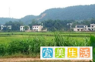 如果农村宅基地被征收怎么赔偿?补偿标准是多少?
