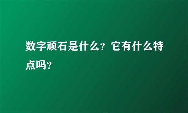 数字顽石是什么？它有什么特点吗？