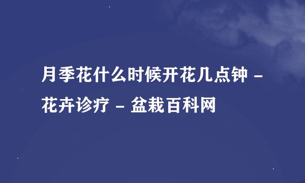 月季花什么时候开花几点钟 - 花卉诊疗 - 盆栽百科网