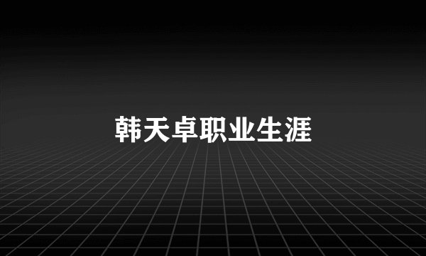 韩天卓职业生涯