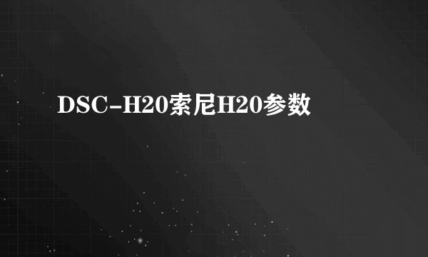 DSC-H20索尼H20参数