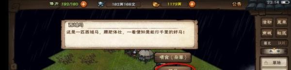 烟雨江湖西域马怎么骑