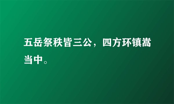 五岳祭秩皆三公，四方环镇嵩当中。