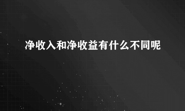 净收入和净收益有什么不同呢
