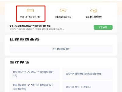 如何查询个人退休金发放明细