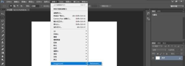 PS怎么正确安装降噪插件Imagenomic Noiseware？