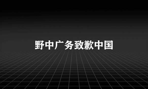 野中广务致歉中国