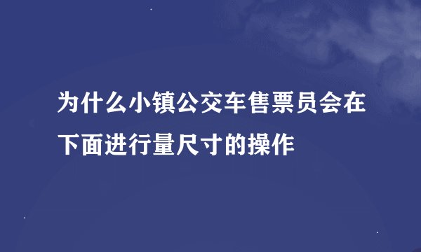 为什么小镇公交车售票员会在下面进行量尺寸的操作