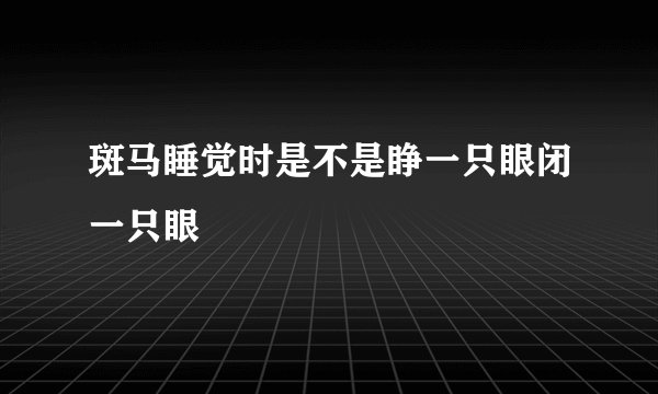 斑马睡觉时是不是睁一只眼闭一只眼