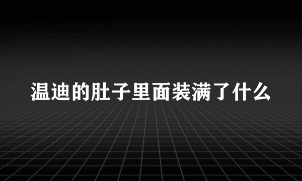 温迪的肚子里面装满了什么