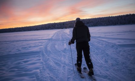 frozen是什么意思