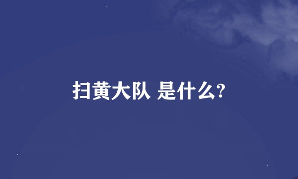 扫黄大队 是什么?