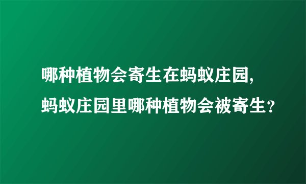 哪种植物会寄生在蚂蚁庄园,蚂蚁庄园里哪种植物会被寄生？