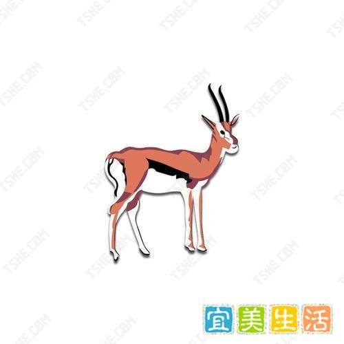 烫画工艺有什么特点？t恤烫画工艺