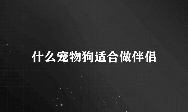什么宠物狗适合做伴侣