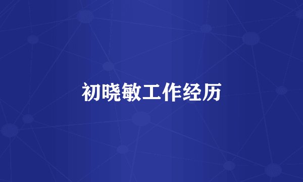 初晓敏工作经历