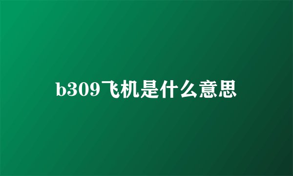 b309飞机是什么意思