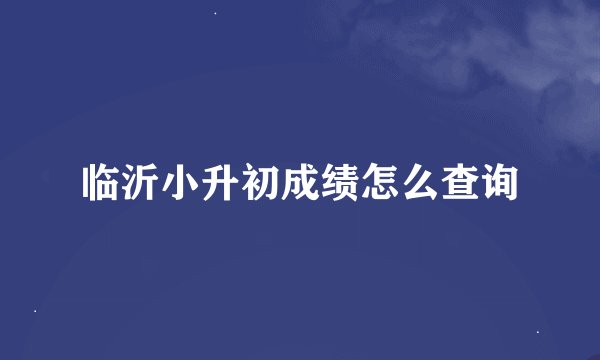 临沂小升初成绩怎么查询