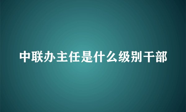 中联办主任是什么级别干部