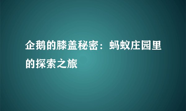 企鹅的膝盖秘密：蚂蚁庄园里的探索之旅