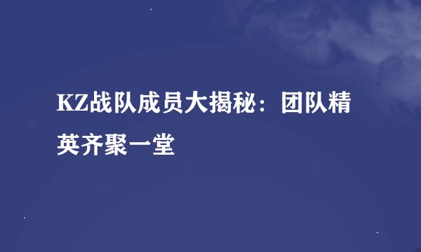 KZ战队成员大揭秘:团队精英齐聚一堂