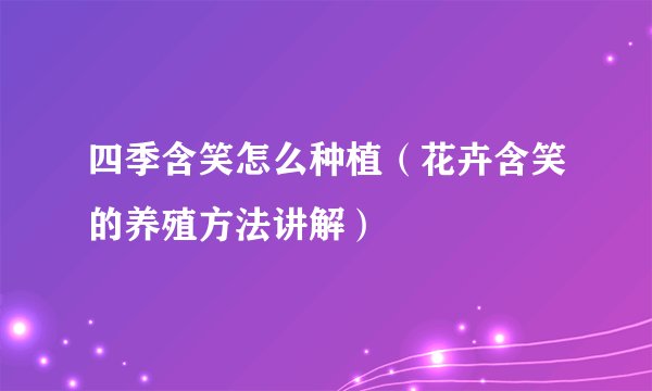 四季含笑怎么种植（花卉含笑的养殖方法讲解）