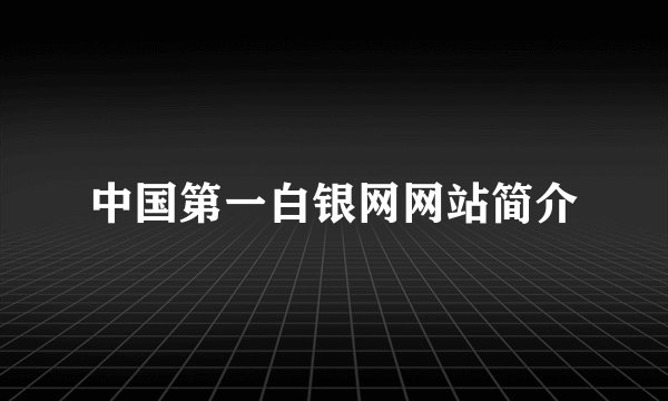 中国第一白银网网站简介