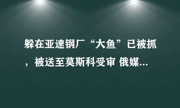 躲在亚速钢厂“大鱼”已被抓，被送至莫斯科受审 俄媒称，此人身负重任？