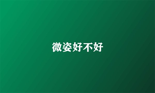 微姿好不好