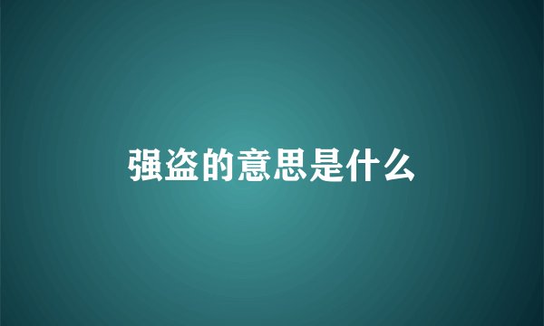 强盗的意思是什么