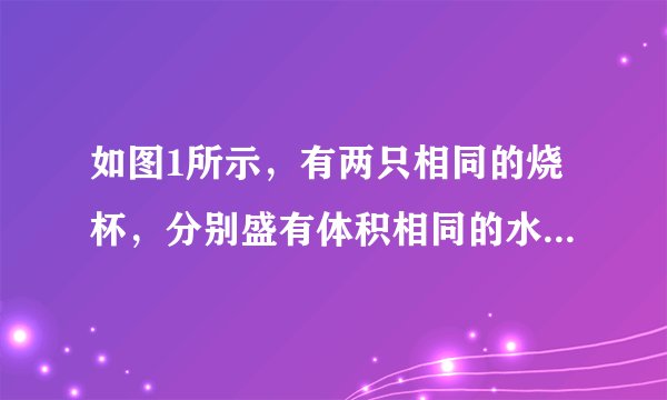 如图1所示，有两只相同的烧杯，分别盛有体积相同的水和酒精，但没有标签，小李采用闻气味的方法判断出无