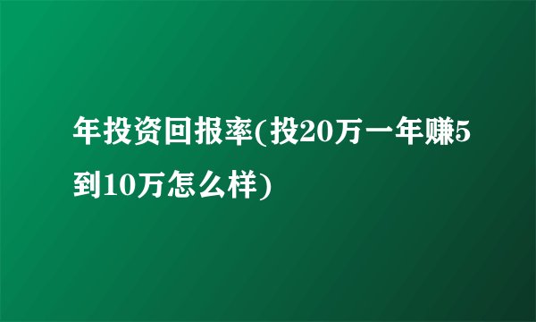 年投资回报率(投20万一年赚5到10万怎么样)