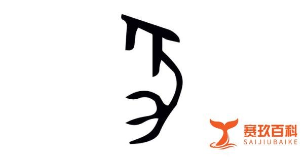 每日汉字 “豕” 豕也是猪