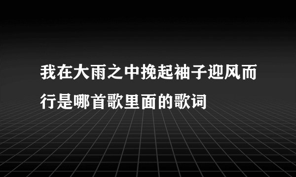 我在大雨之中挽起袖子迎风而行是哪首歌里面的歌词