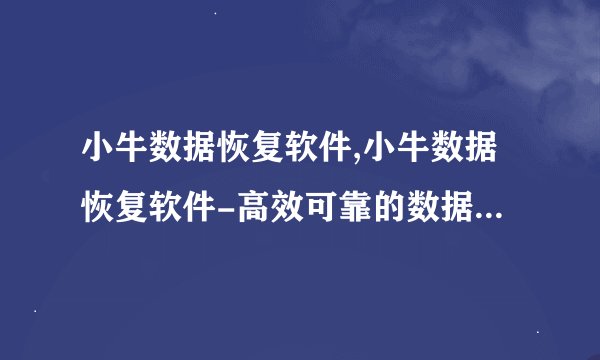 小牛数据恢复软件,小牛数据恢复软件-高效可靠的数据恢复神器