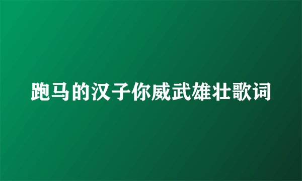 跑马的汉子你威武雄壮歌词