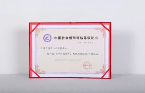 上海社会组织网查询(上海社会组织网上年检入口)