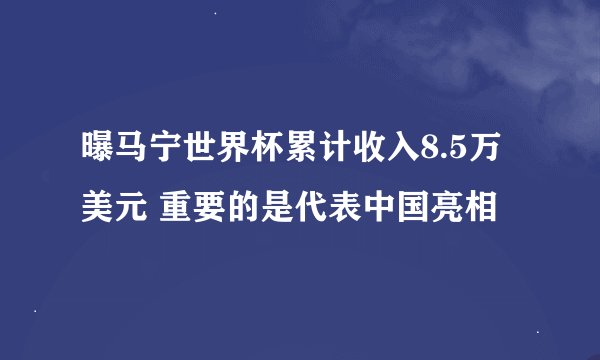 曝马宁世界杯累计收入8.5万美元 重要的是代表中国亮相