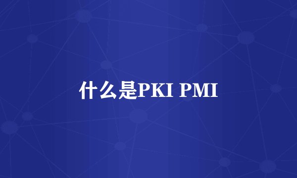 什么是PKI PMI