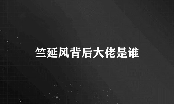 竺延风背后大佬是谁