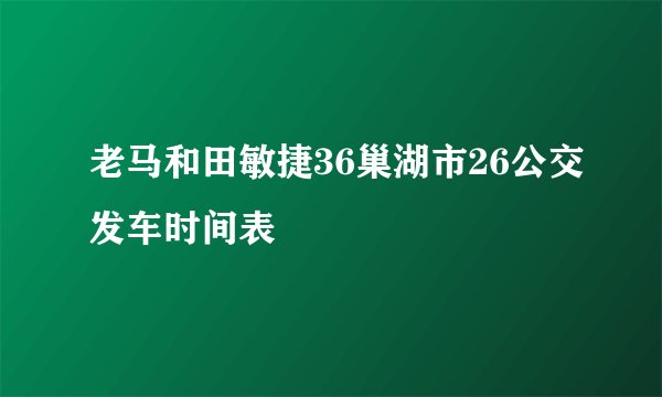 老马和田敏捷36巢湖市26公交发车时间表