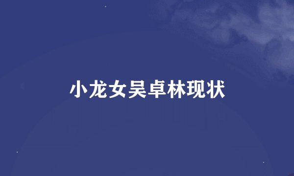 小龙女吴卓林现状