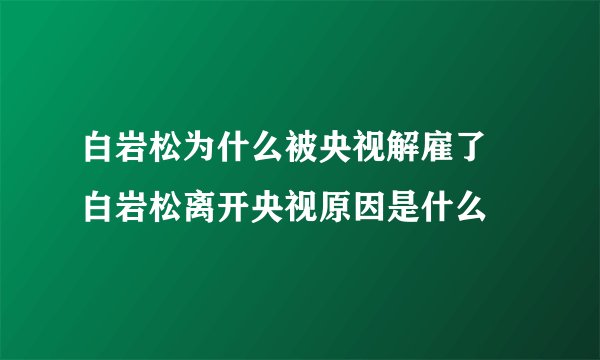白岩松为什么被央视解雇了 白岩松离开央视原因是什么