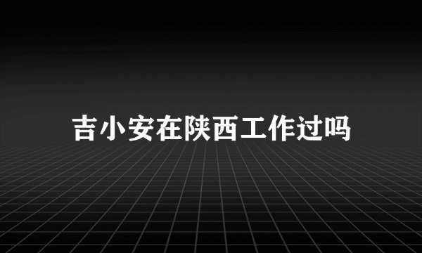 吉小安在陕西工作过吗