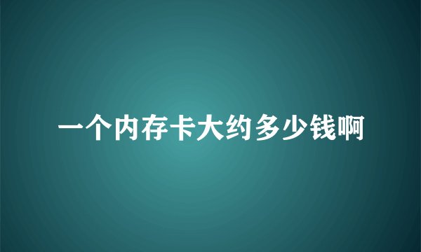 一个内存卡大约多少钱啊