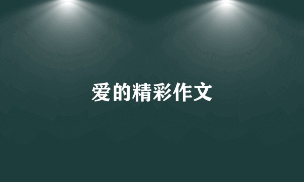 爱的精彩作文
