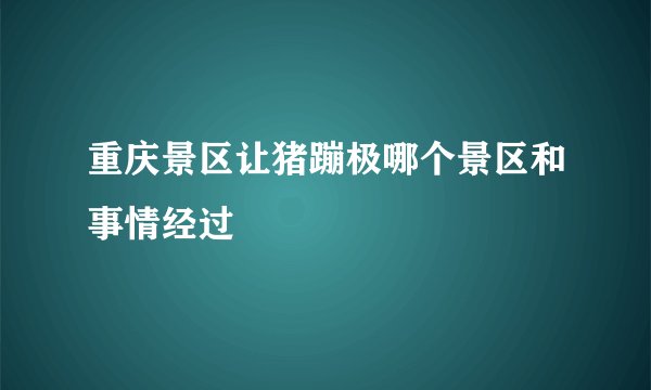 重庆景区让猪蹦极哪个景区和事情经过
