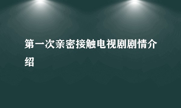 第一次亲密接触电视剧剧情介绍