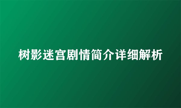 树影迷宫剧情简介详细解析