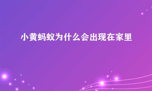 小黄蚂蚁为什么会出现在家里